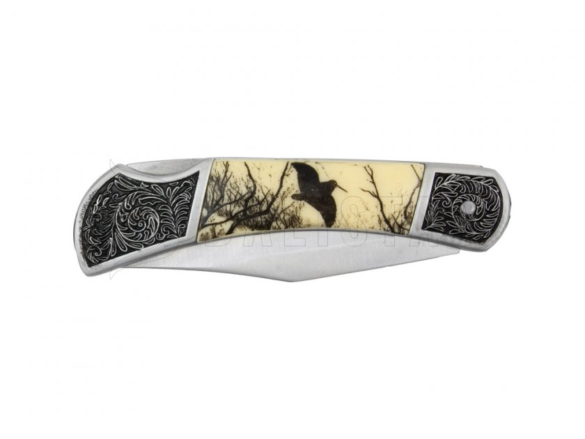 Coltello pieghevole Joker motivo uccello 8 cm