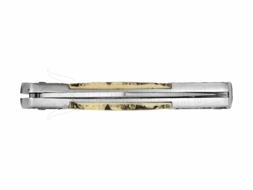 Coltello pieghevole Joker motivo uccello 8 cm