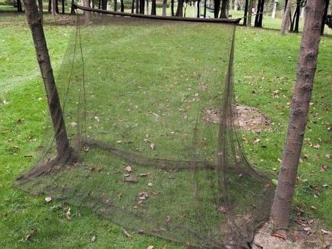 Zanzariera da campeggio MFH verde 2x1 5x1 m