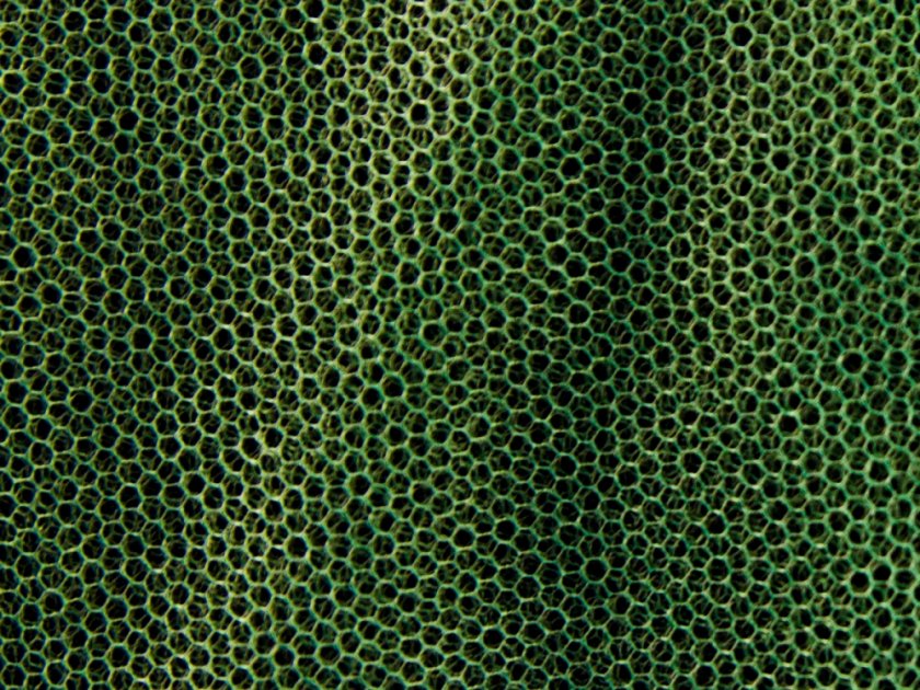 Zanzariera MFH grande verde 0,63x2,5x12,5 m