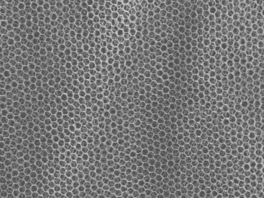 Zanzariera MFH piccola bianca 0,63x2x8 m