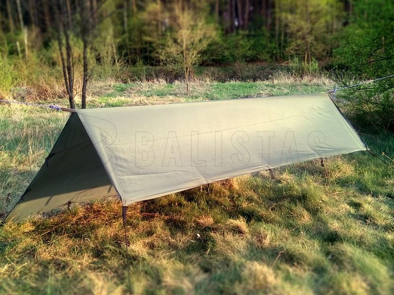Telo turistico tarp Tigerwood Tectum 3x3 m verde