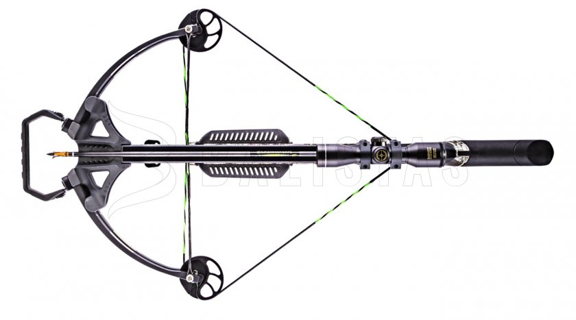 Balestra Barnett Quad Edge Set 125lb