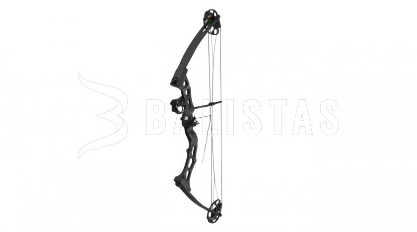 Arco Poe Lang Predator II nero 45-65lbs