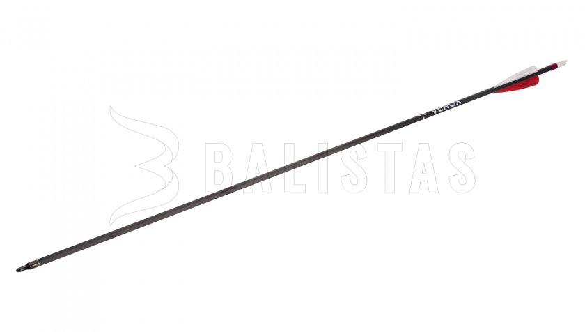 Freccia Carbon Wraith 28"