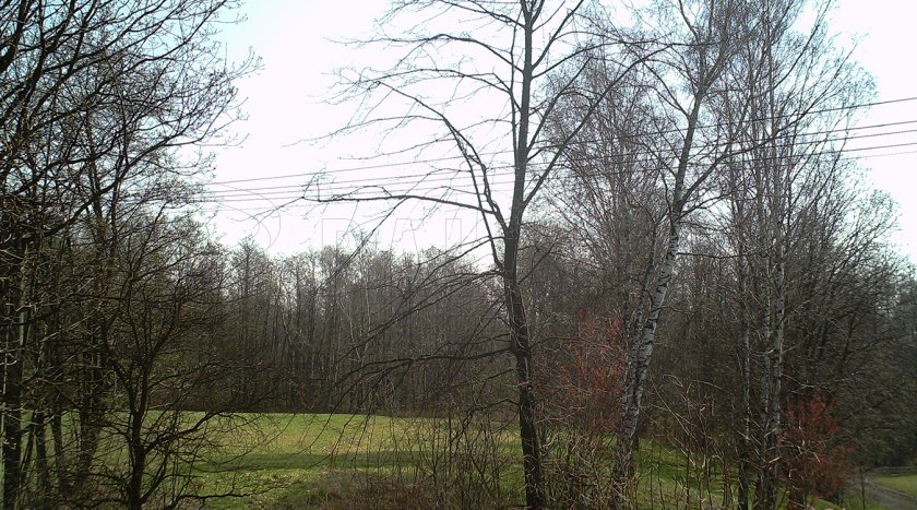 Fototrappola Forestcam Tiny 11