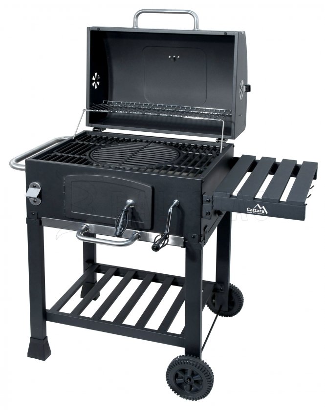 Grill a carbone Royal con griglia in ghisa