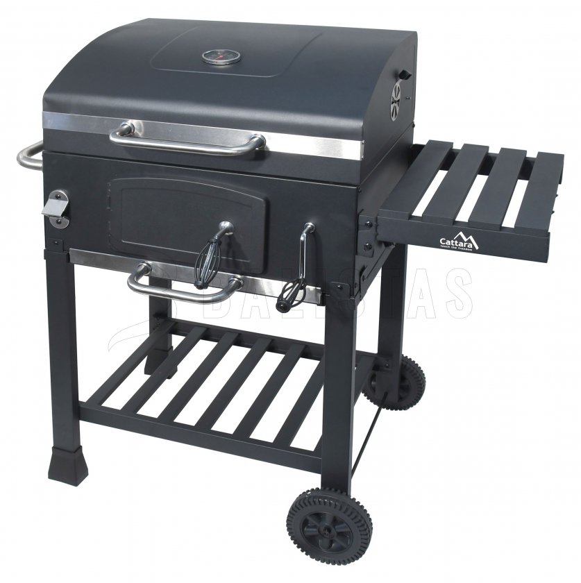Grill a carbone Royal con griglia in ghisa