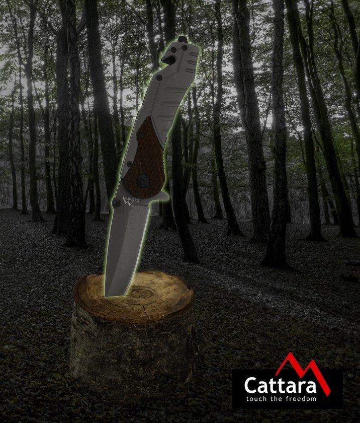 Coltello pieghevole Wood con blocco 21 cm