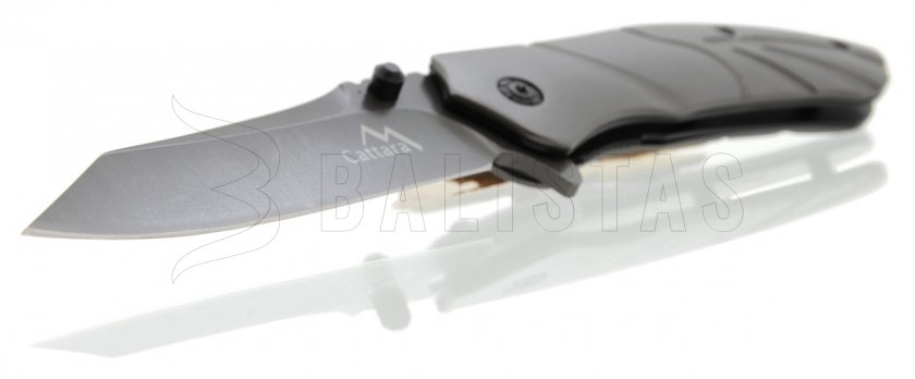 Coltello pieghevole Titan con blocco 22 cm