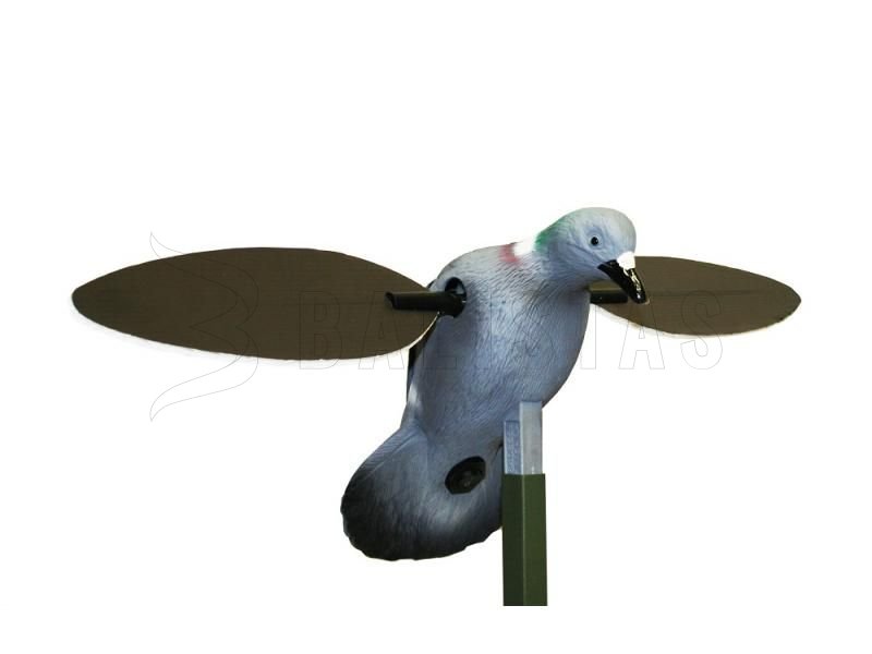 Balabán MOJO Pigeon - piccione