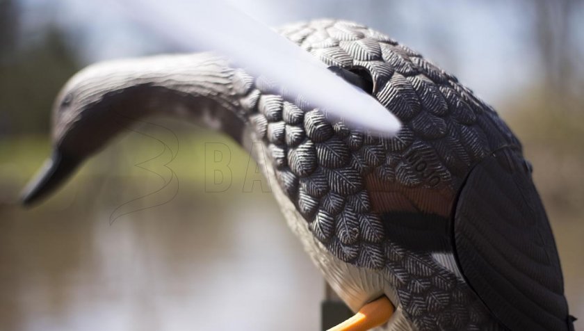 Balabán MOJO Gadwall - Anatra Kopřivka