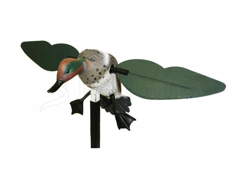 Balaban MOJO Teal - Pizzo generale