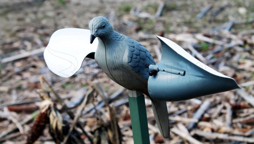 Balabán MOJO Wind Dove - colomba a vento