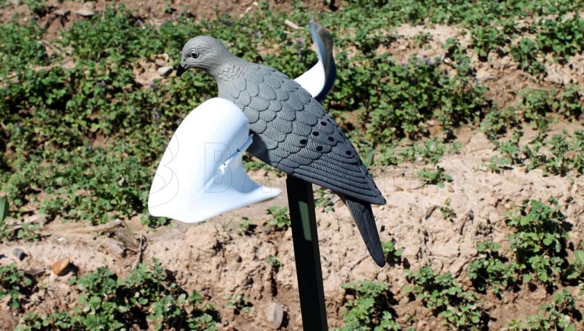 Balabán MOJO Wind Dove - colomba a vento