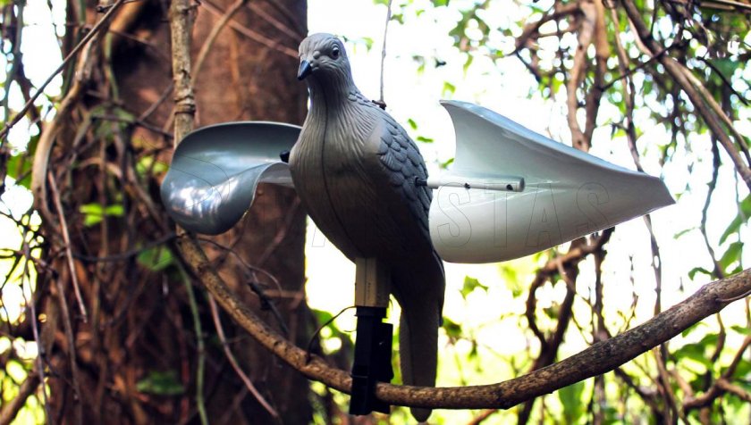 Balabán MOJO Wind Dove - colomba a vento