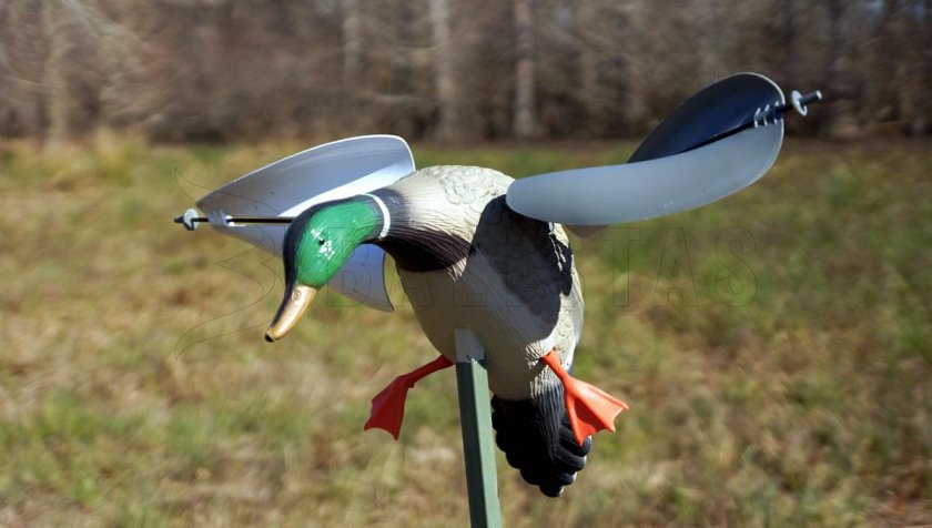 Balabán MOJO Wind Duck Mallard - papera selvatica a vento