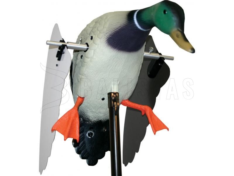 Balaban MOJO Super Mallard - Anatra selvatica