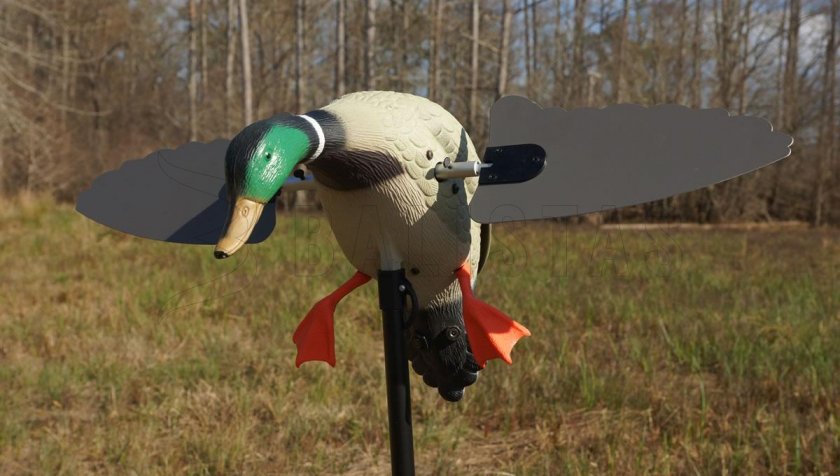 Balaban MOJO Super Mallard - Anatra selvatica