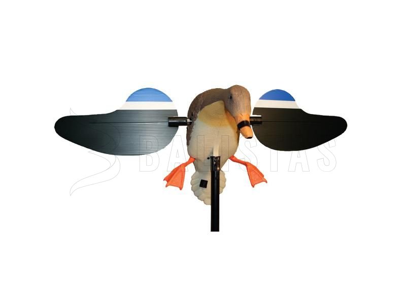 Balaban MOJO Gallina reale - Anatra selvatica con telecomando