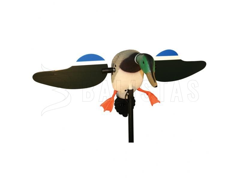 Balabán MOJO Mallard Drake - Germano reale selvatico con telecomando