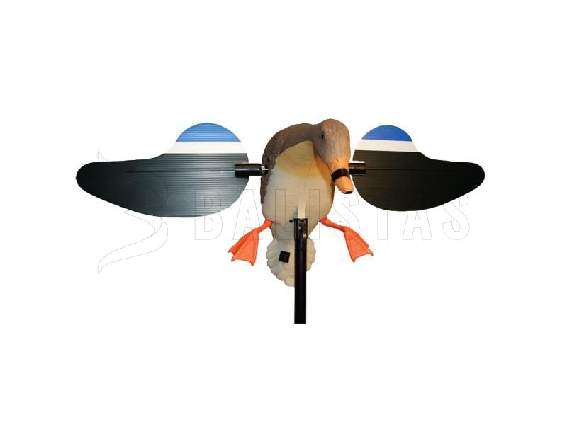 Balaban MOJO Gallina reale - Anatra selvatica