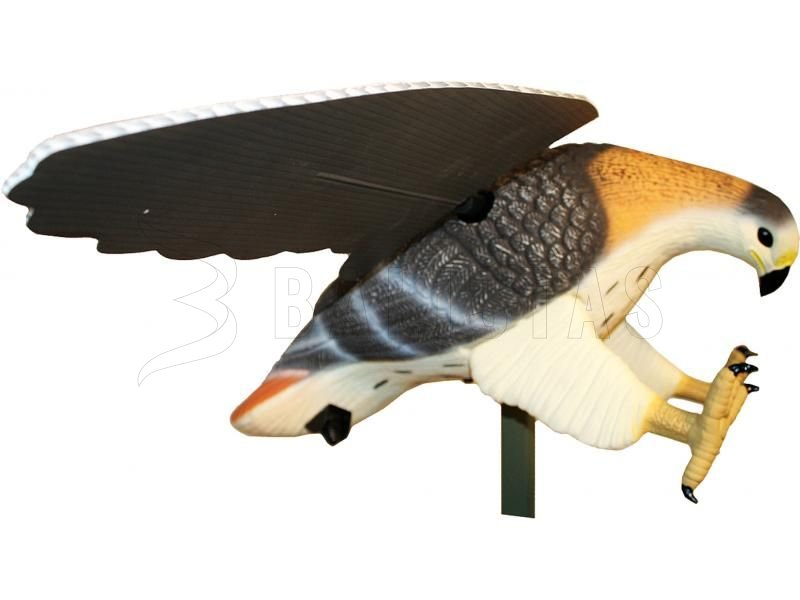 Balabán MOJO Hawk - Falco