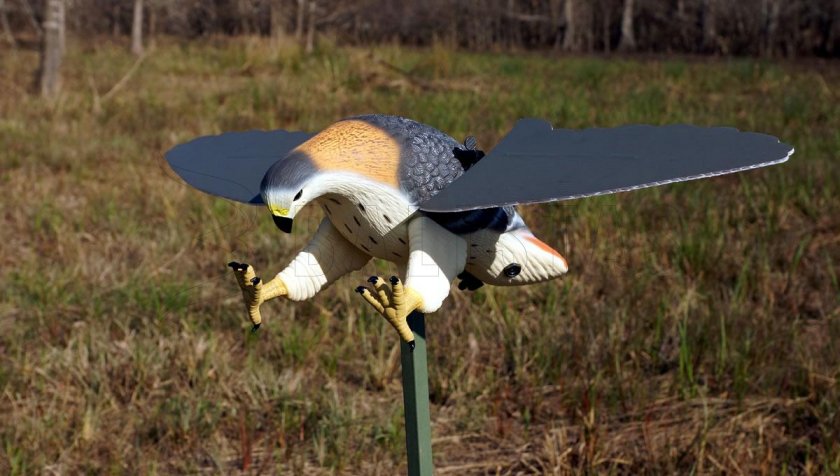 Balabán MOJO Hawk - Falco