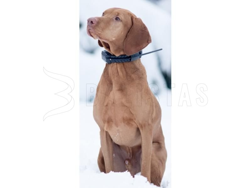 Localizzatore GPS Dogtrace DOG GPS X20 - Arancione