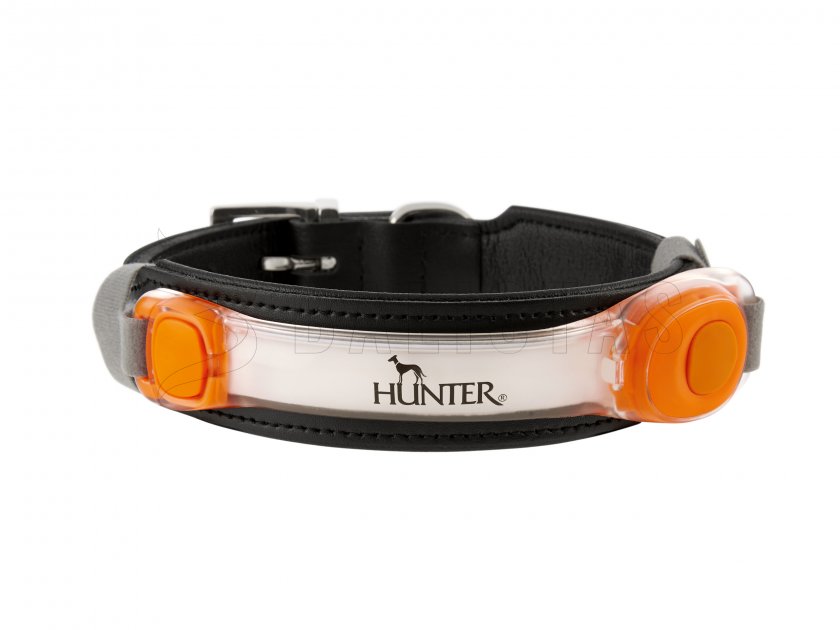 Ciondolo a collare LED arancione Hunter