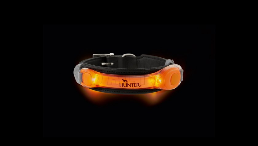 Ciondolo a collare LED arancione Hunter