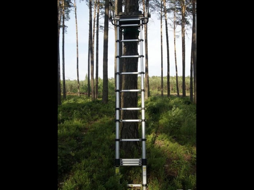 Sedia da caccia Tajga I telescopica 3,1 m