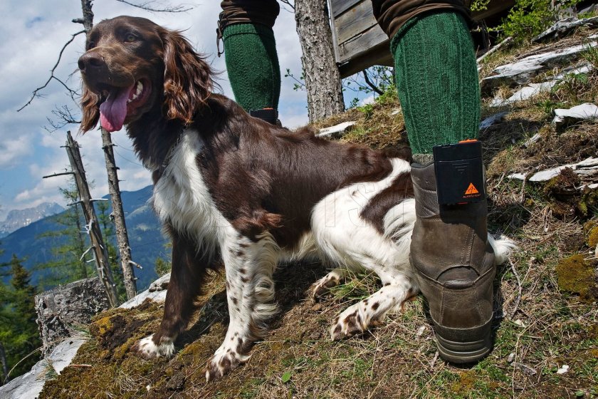 Alpenheat Inserti riscaldati per scarpe AH5 Trend