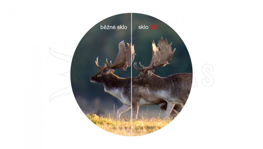 Binocolo Chase 10x50 ED di Delta Optical