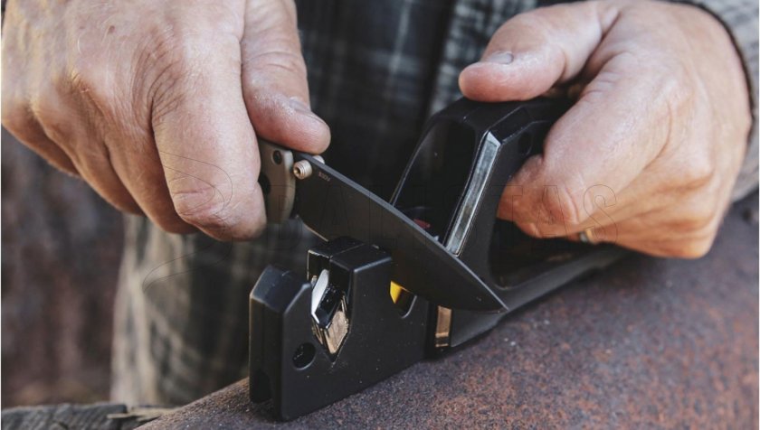 Lavoro Sharp Pivot Pro