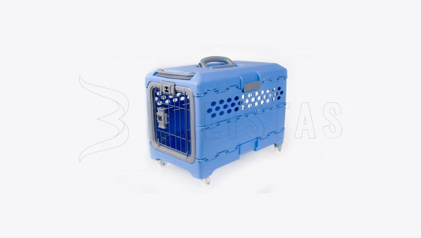 Cassetta di trasporto plastica Dogtrace 2