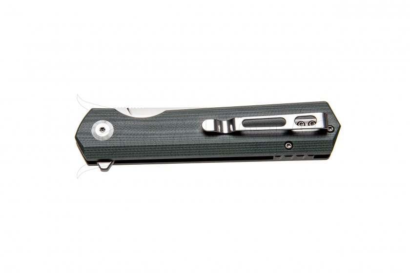 Coltello chiudibile Ganzo Firebird FH11-GB verde