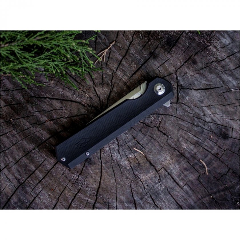 Coltello chiudibile Ganzo Firebird FH11-BK nero