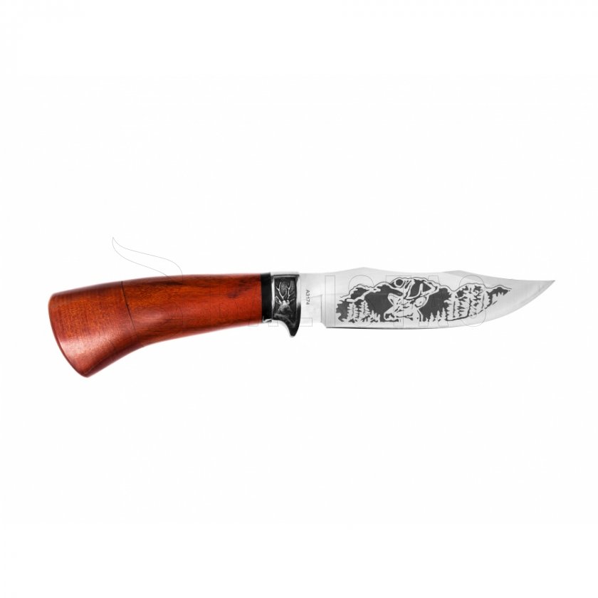 Coltello da caccia Kandar N55