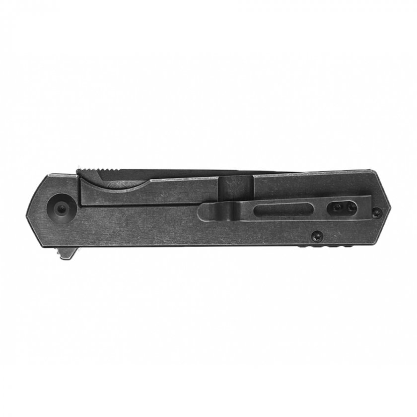 Coltello tascabile Ganzo Firebird FH13-SS
