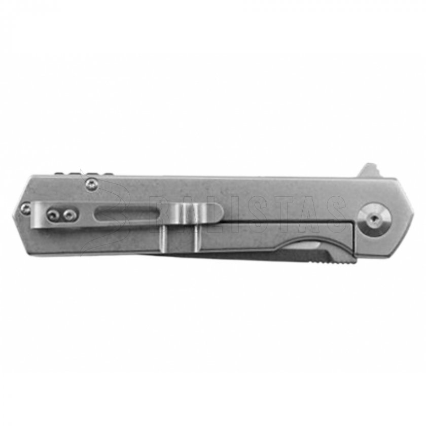Coltello pieghevole Ganzo Firebird FH12-SS