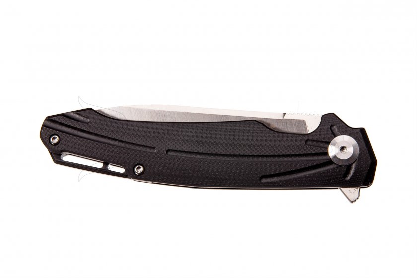 Coltello pieghevole Ganzo Firebird FH21-BK
