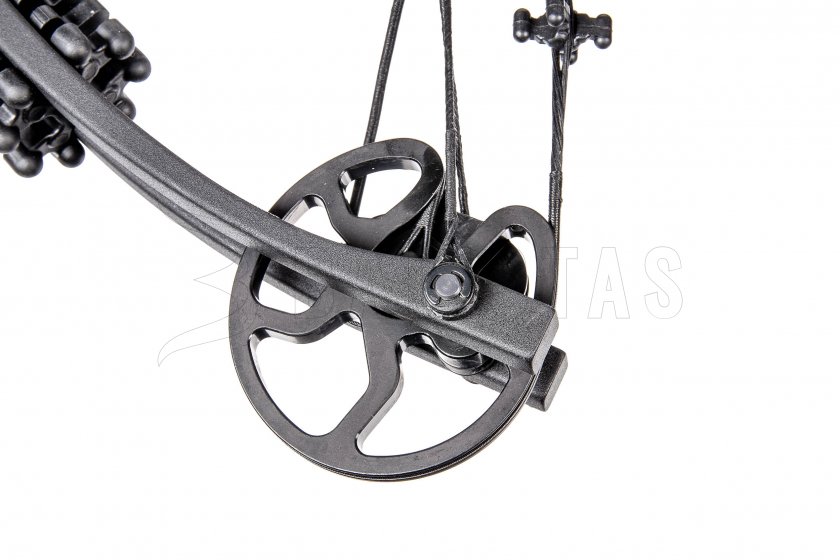 Balestra Mankung Kraken 200lb Black