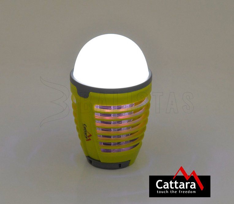 Torcia USB e cattura insetti Pera Cattara