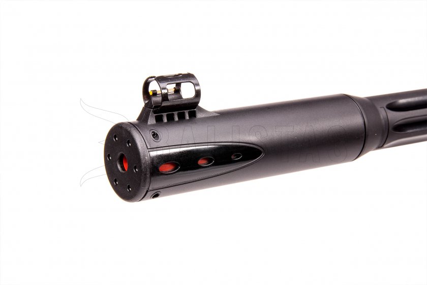 Carabina ad aria compressa Gamo Roadster IGT 10X GEN2 5,5mm
