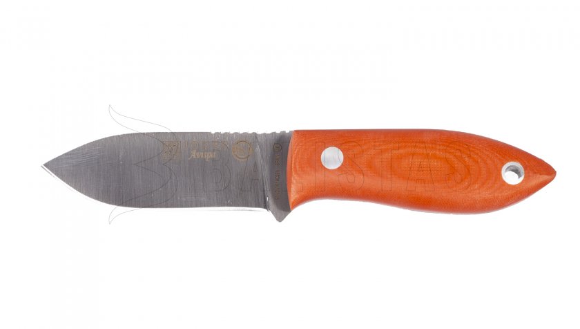 Coltello Joker Avispa CN117
