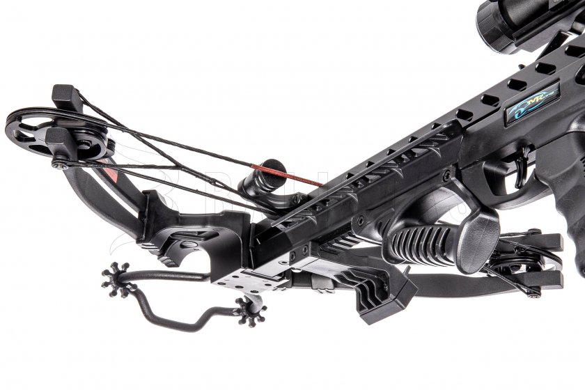 Balestra Mankung Frost Wolf 175lb nera