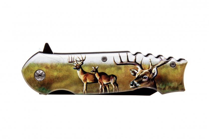 Coltello pieghevole Kandar Jelen tanto (73)