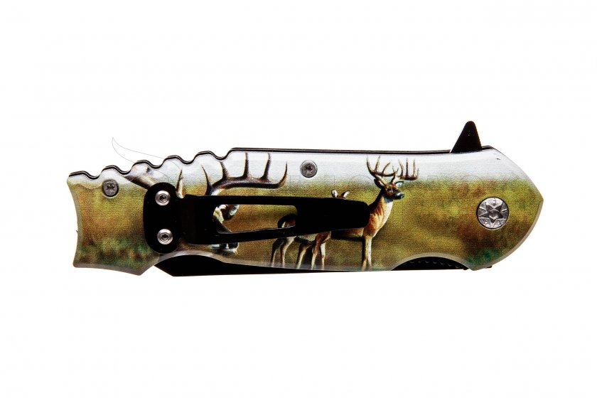 Coltello pieghevole Kandar Jelen tanto (73)