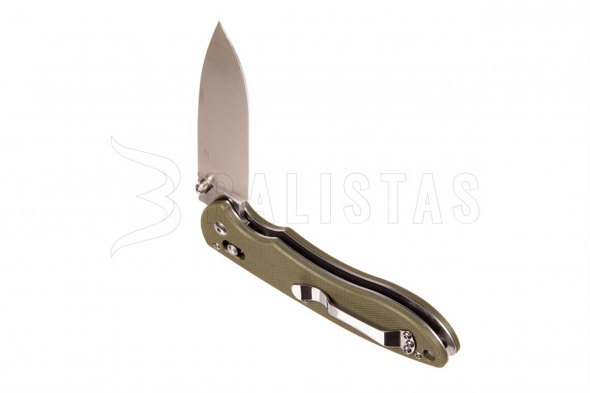 Coltello pieghevole Ganzo G740 verde